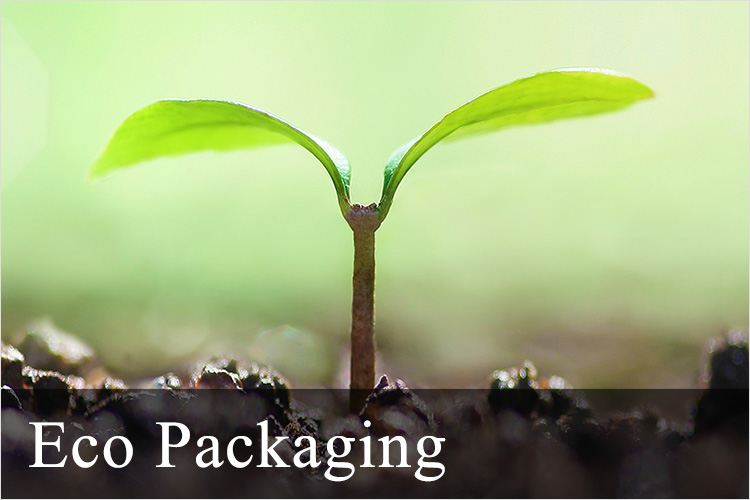 Eco Packaging